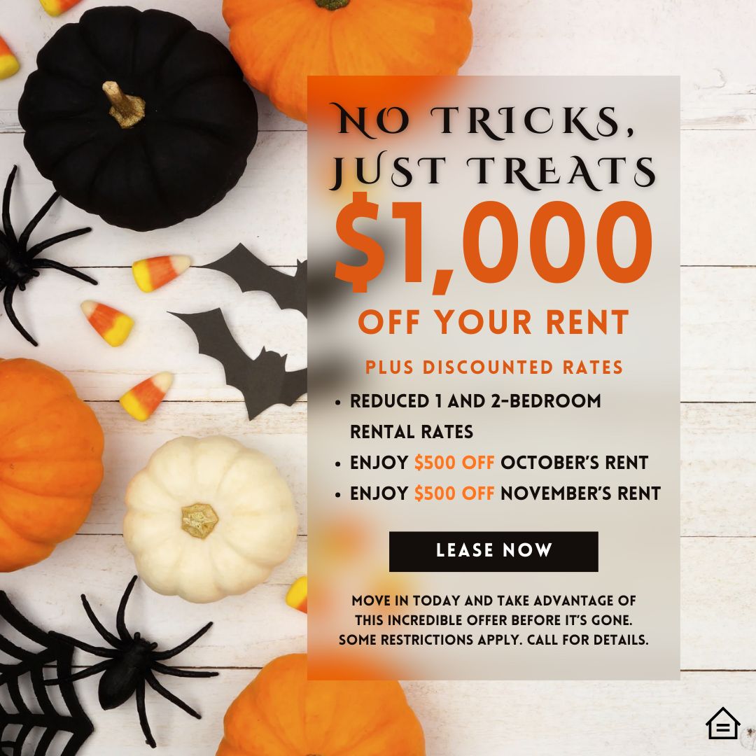 Graphic design image of pumpkins, spiders, candt corn, bats, and overlay text that reads: No tricks just treats $1000 off your rent plus discounted rates reduced 1 and 2 bedroom rates enjoy $500 off october and $500 off november rent. Restrictions apply.