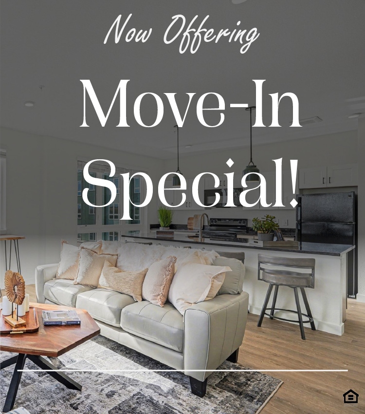 Modern open-concept living space featuring a cozy living area with a light-colored sofa and decorative pillows, a wooden coffee table, and a stylish bar with stools. The kitchen boasts sleek black appliances and white cabinetry. Large windows provide natural light and a view of the outdoors. The text on the image says, "Now offering move-in special!"