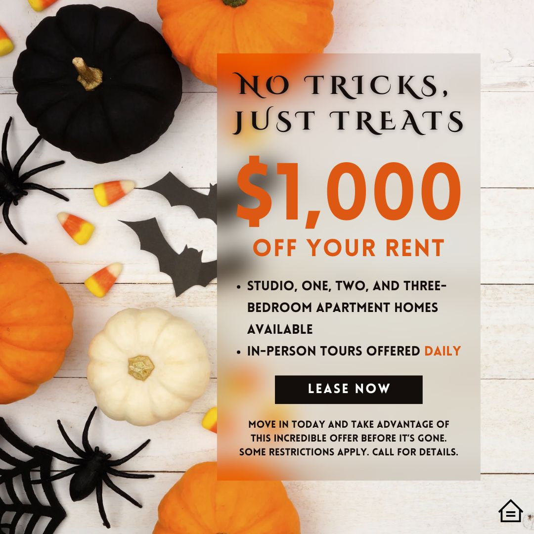 Graphic design pop-up image of pumpkins, bats, candy corn, spiders, and spider webs with overlay text that reads: no tricks just treats $1000 off your rent studio, one, two, and three bedroom apartment homes available in-person tours offered daily move in today and take advantage of this incredible offer before it's gone. Some restrictions apply. call for details.