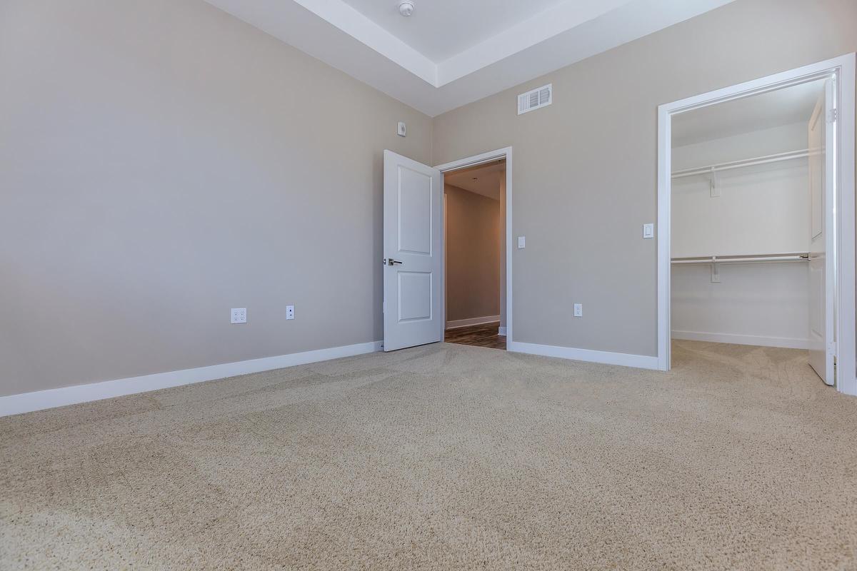 Carpeted bedroom with open walk-in closet