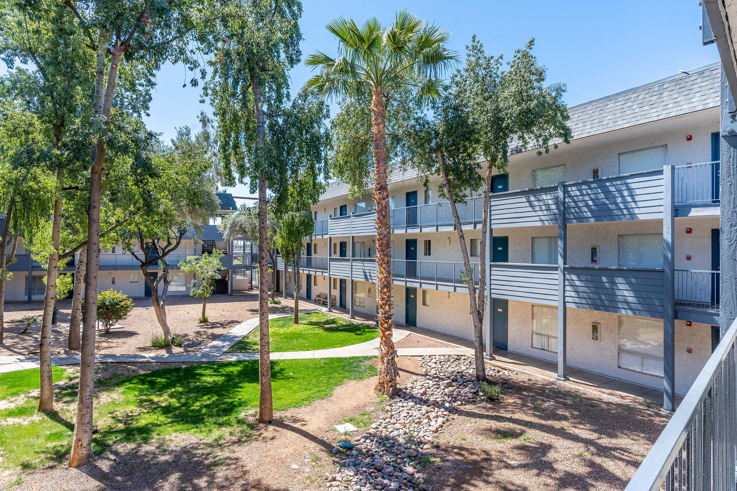 a group of palm trees on the side of a building