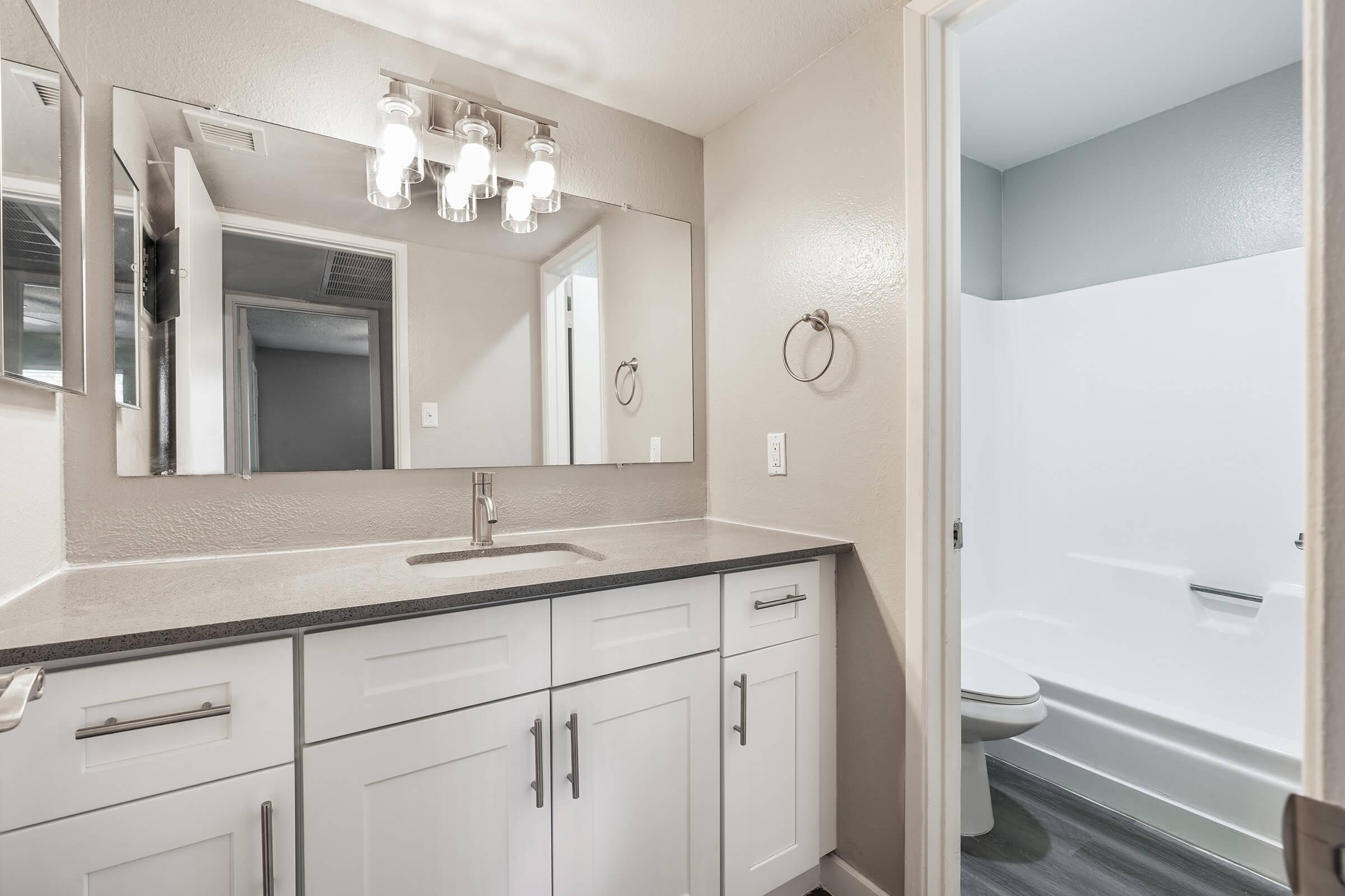 Modern renovated bathroom with large white cabinet mirrored vanity and separate toilet and shower 