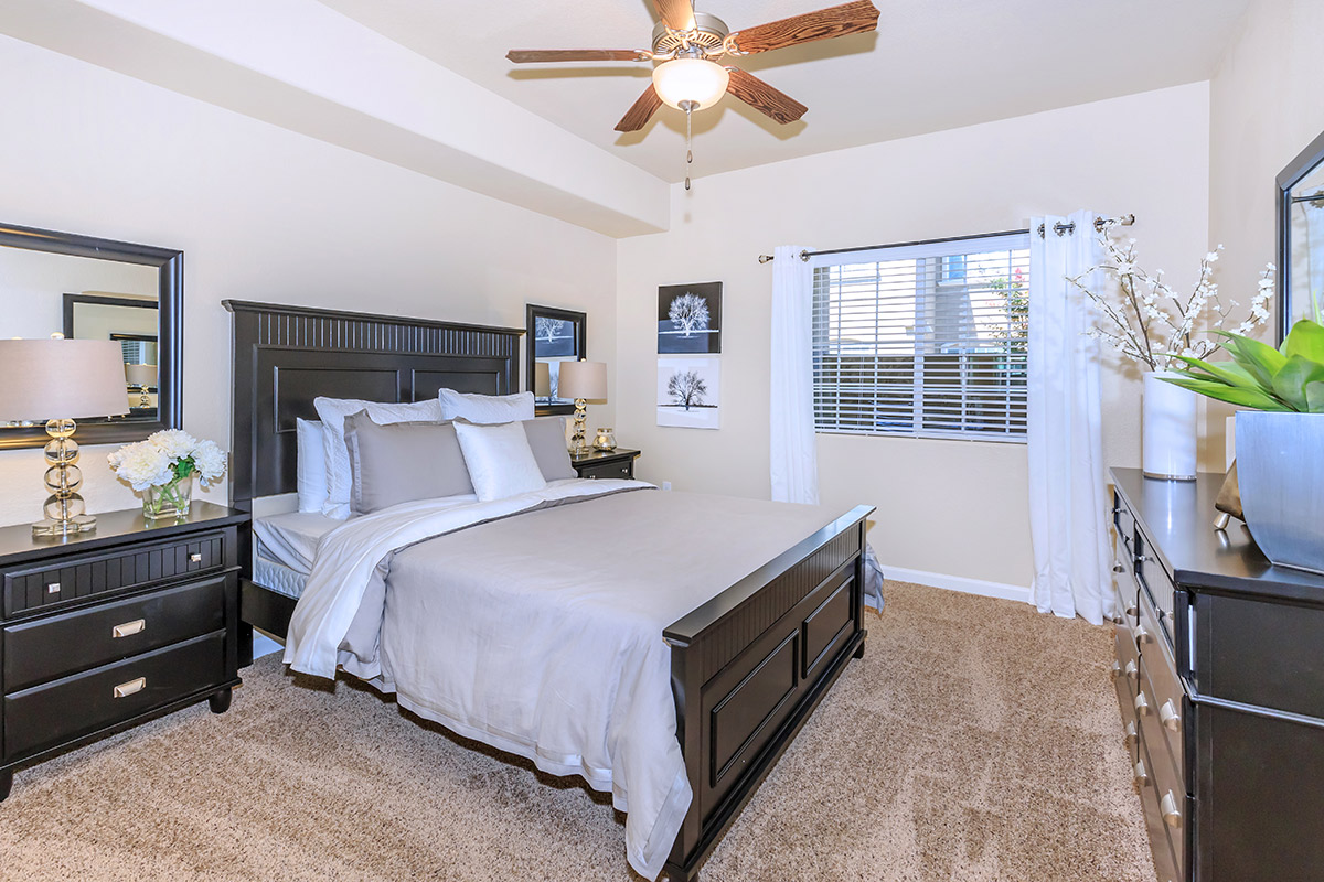 Apartment Amenities