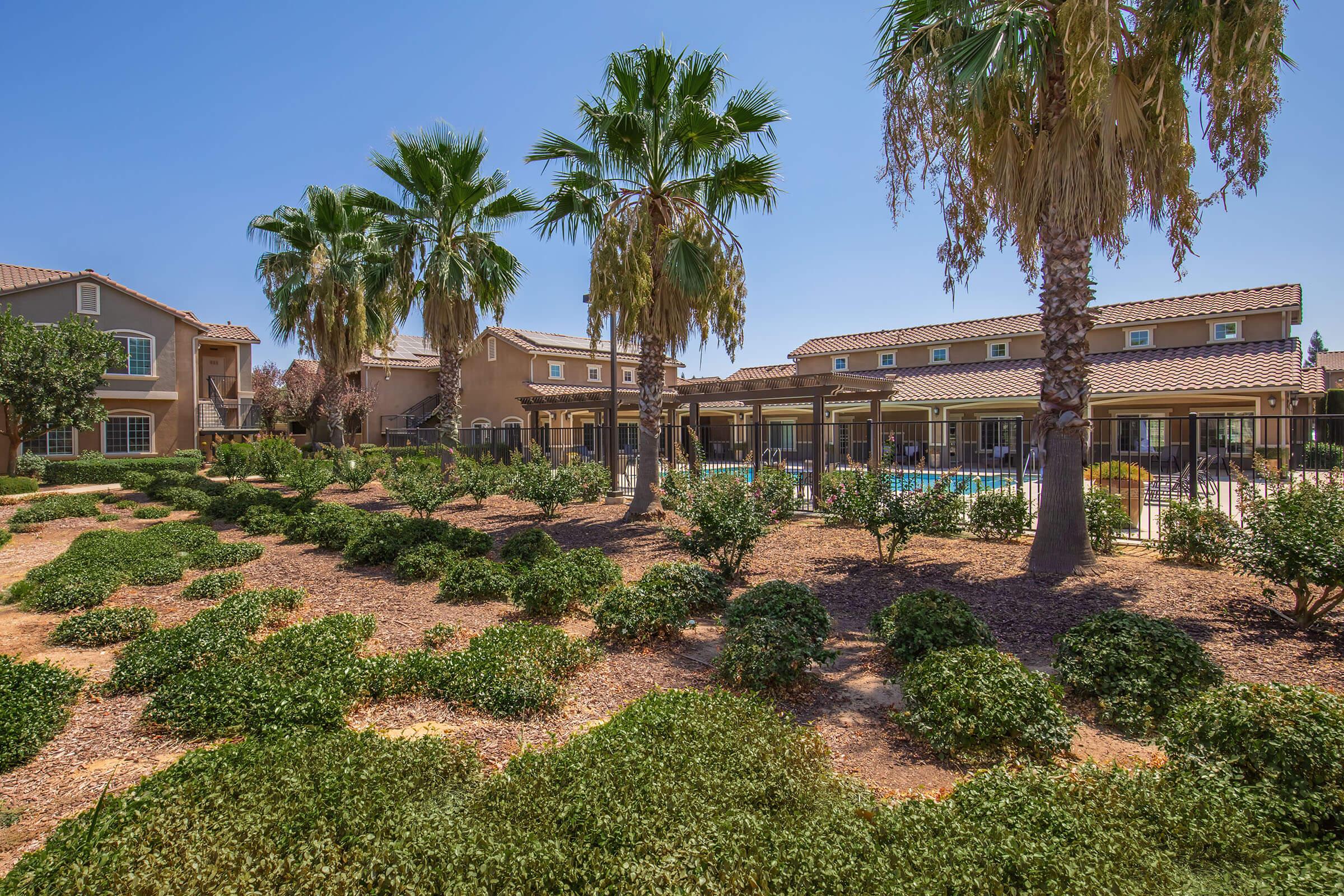 Lush green landscaping featuring shrubs and palm trees in a residential area. In the background, a multi-story building surrounds a swimming pool area, with clear blue skies above. The scene conveys a warm, inviting atmosphere ideal for relaxation and leisure.