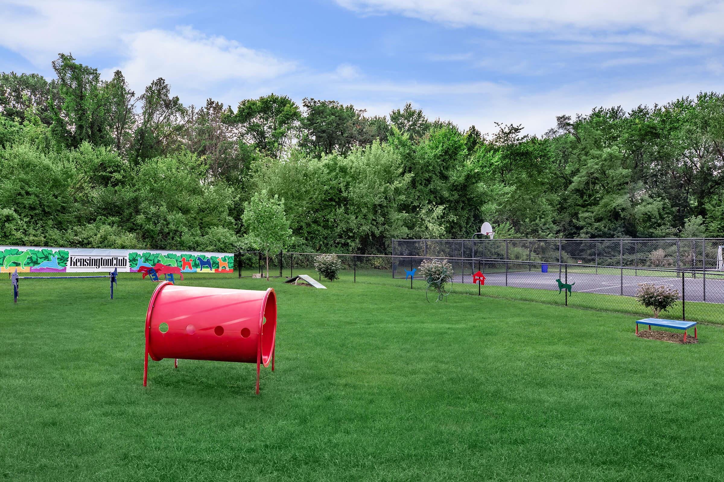 a group of lawn chairs sitting on top of a grass covered field