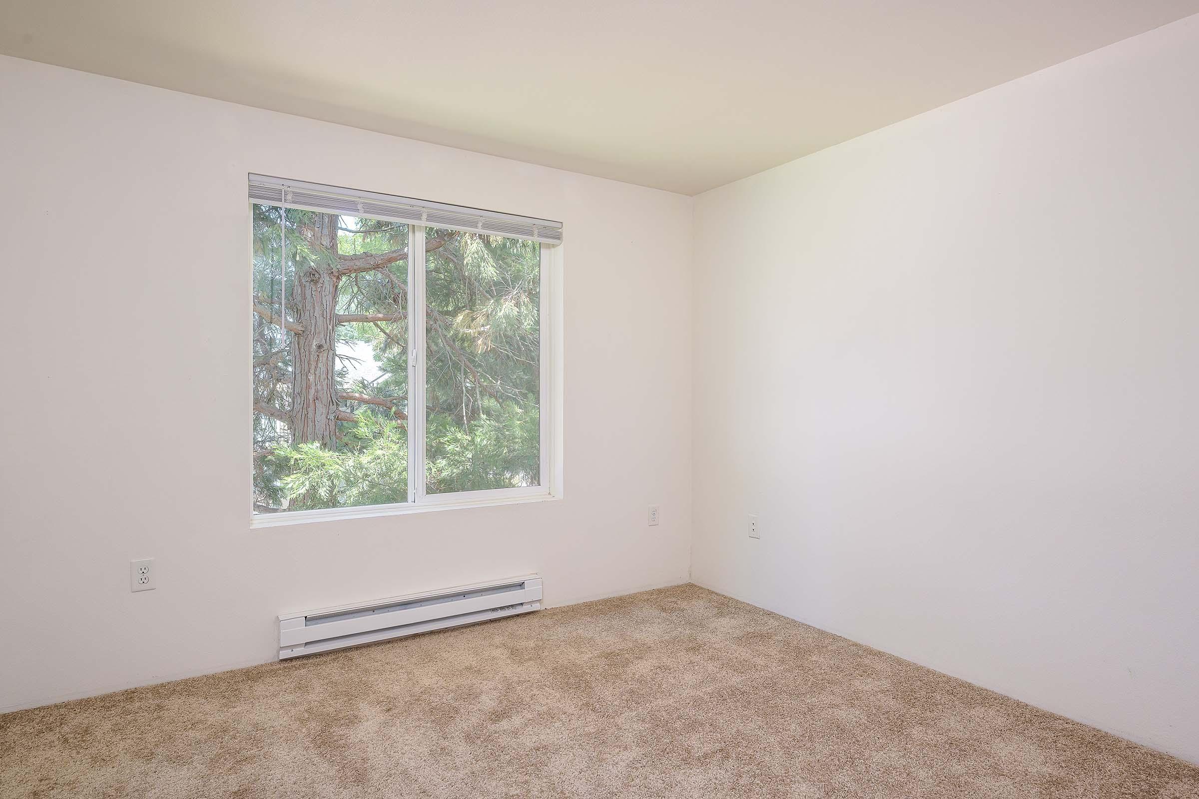 A vacant room with light beige carpet and white walls. A single window allows natural light, showcasing green trees outside. The space is unadorned and minimalistic, highlighting its potential for personalization.