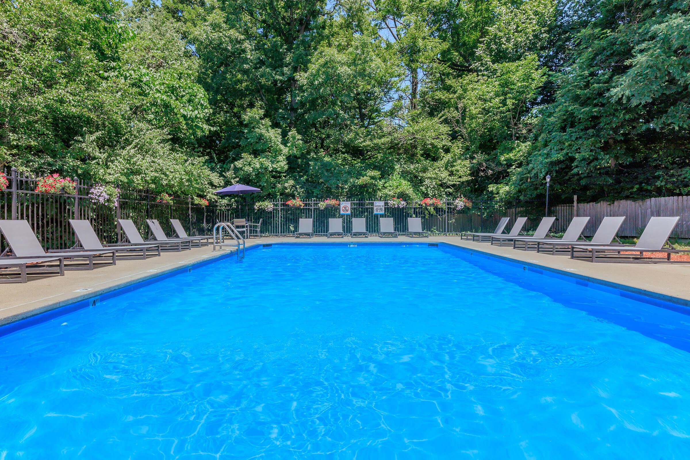 a group of people swimming in a pool of water