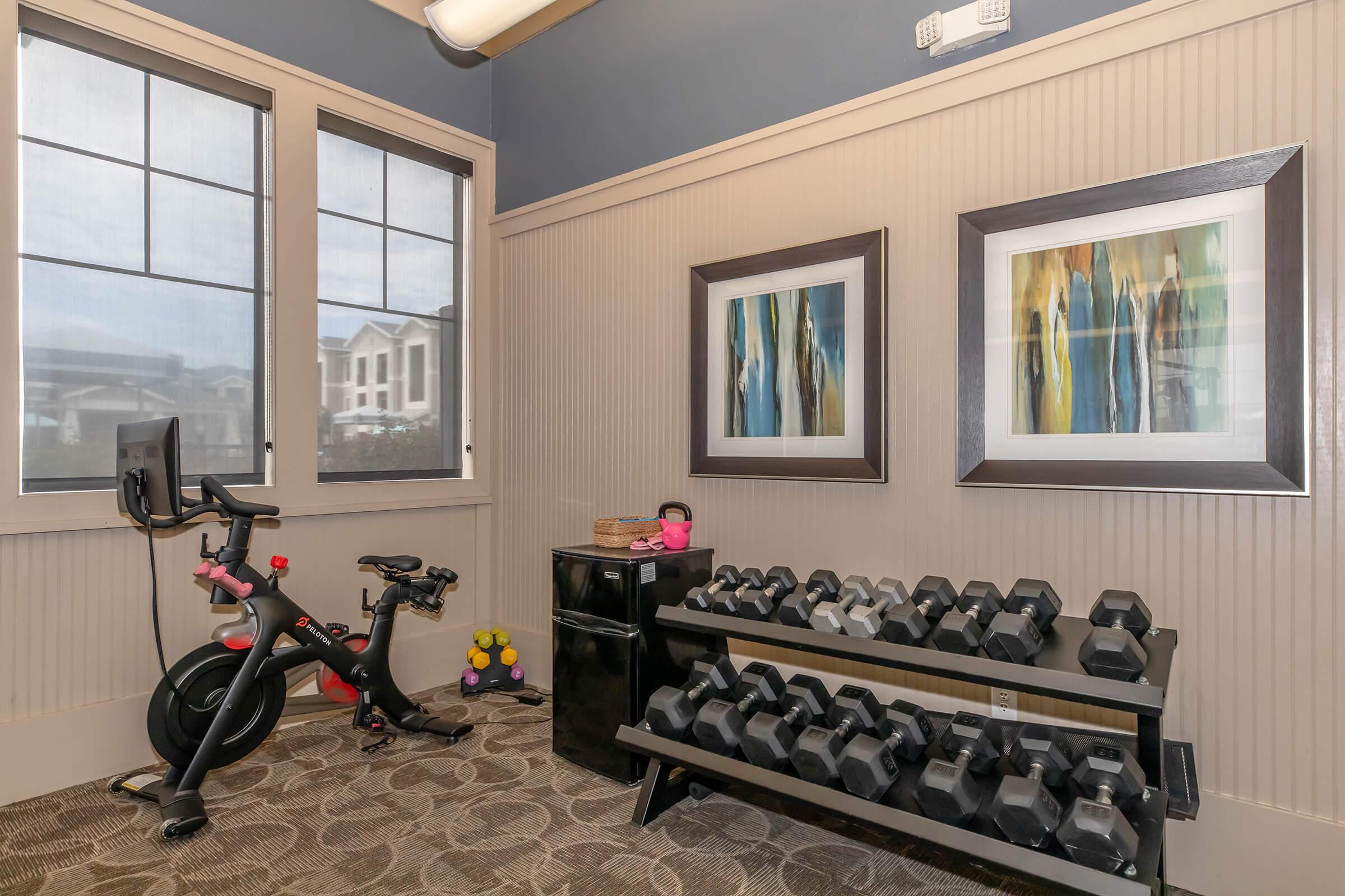 Indoor gym area featuring a stationary exercise bike, a rack of dumbbells, and a mini refrigerator. The room has large windows allowing natural light, and two abstract art pieces hanging on the walls. Decor includes colorful weights and a carpeted floor for comfort.