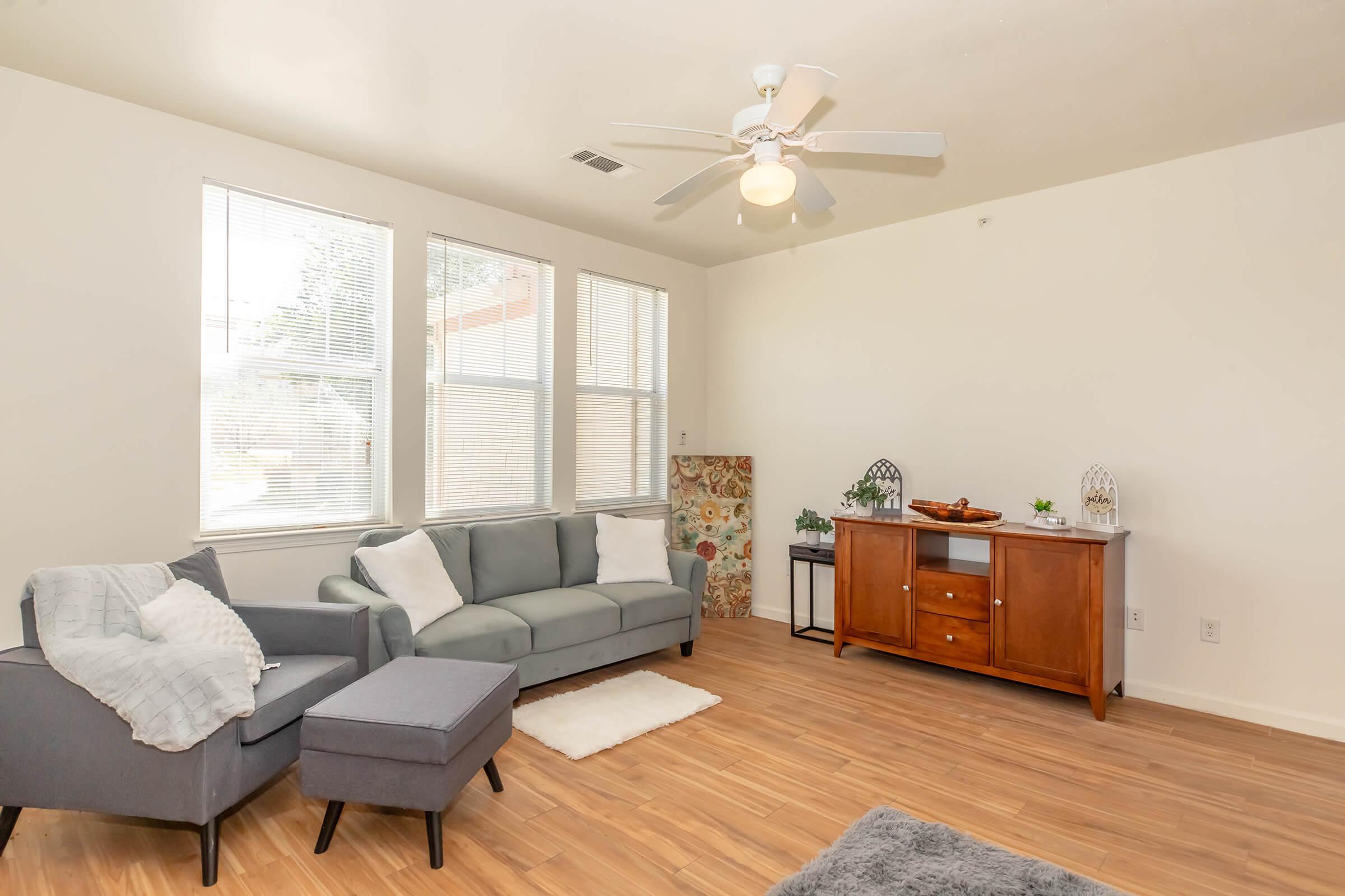 A modern living room featuring a gray sofa, an ottoman, and a wooden sideboard. Natural light streams in through large windows, highlighting the hardwood flooring. Decorative elements include a patterned artwork and small plants on the sideboard, creating a cozy and inviting atmosphere.