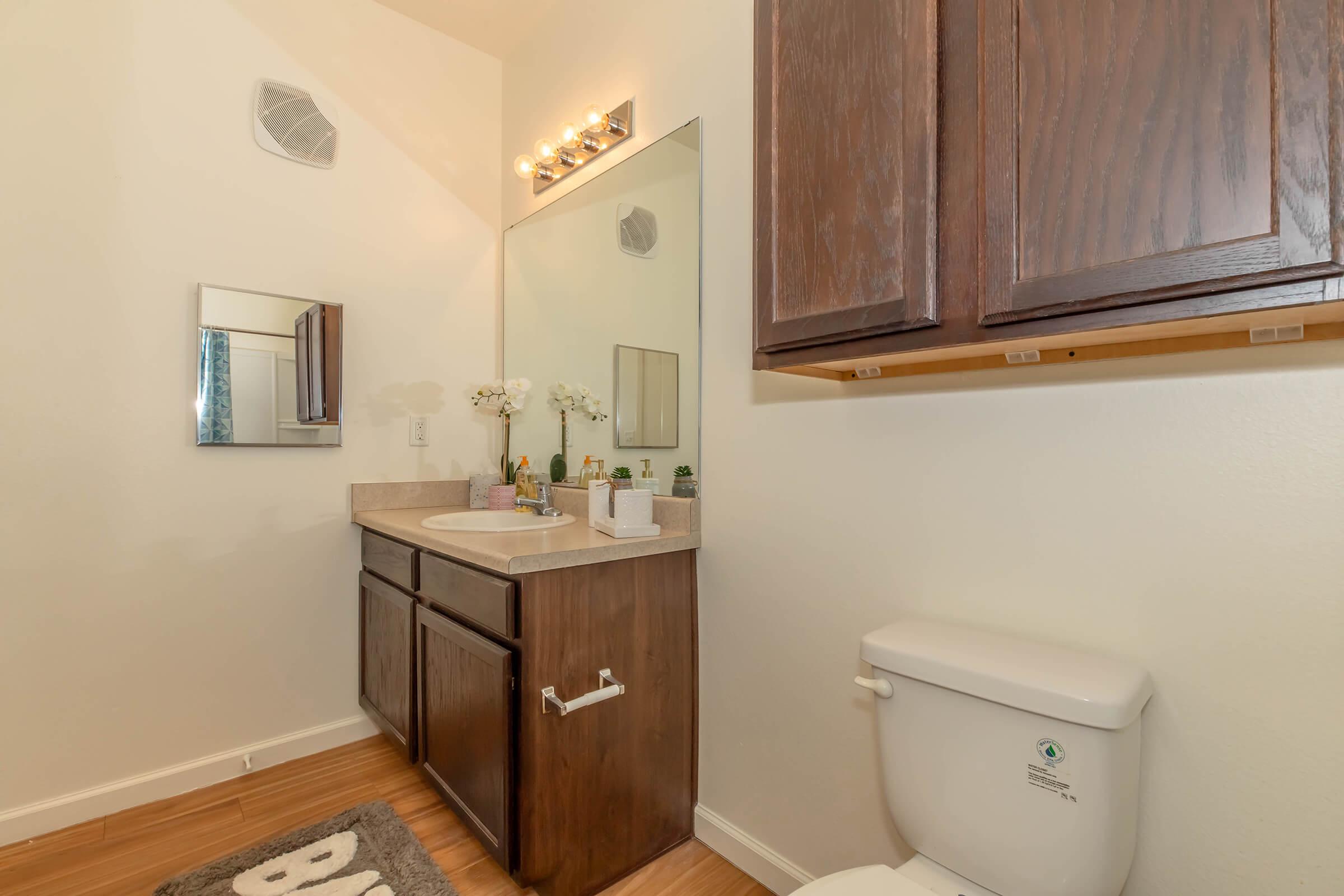 A modern bathroom featuring a wooden vanity with a sink, a large mirror, and overhead lighting. There are decorative items, including potted plants, on the countertop. A toilet is positioned to the side, and the flooring is wooden. The walls are painted a light color, enhancing the spacious feel.