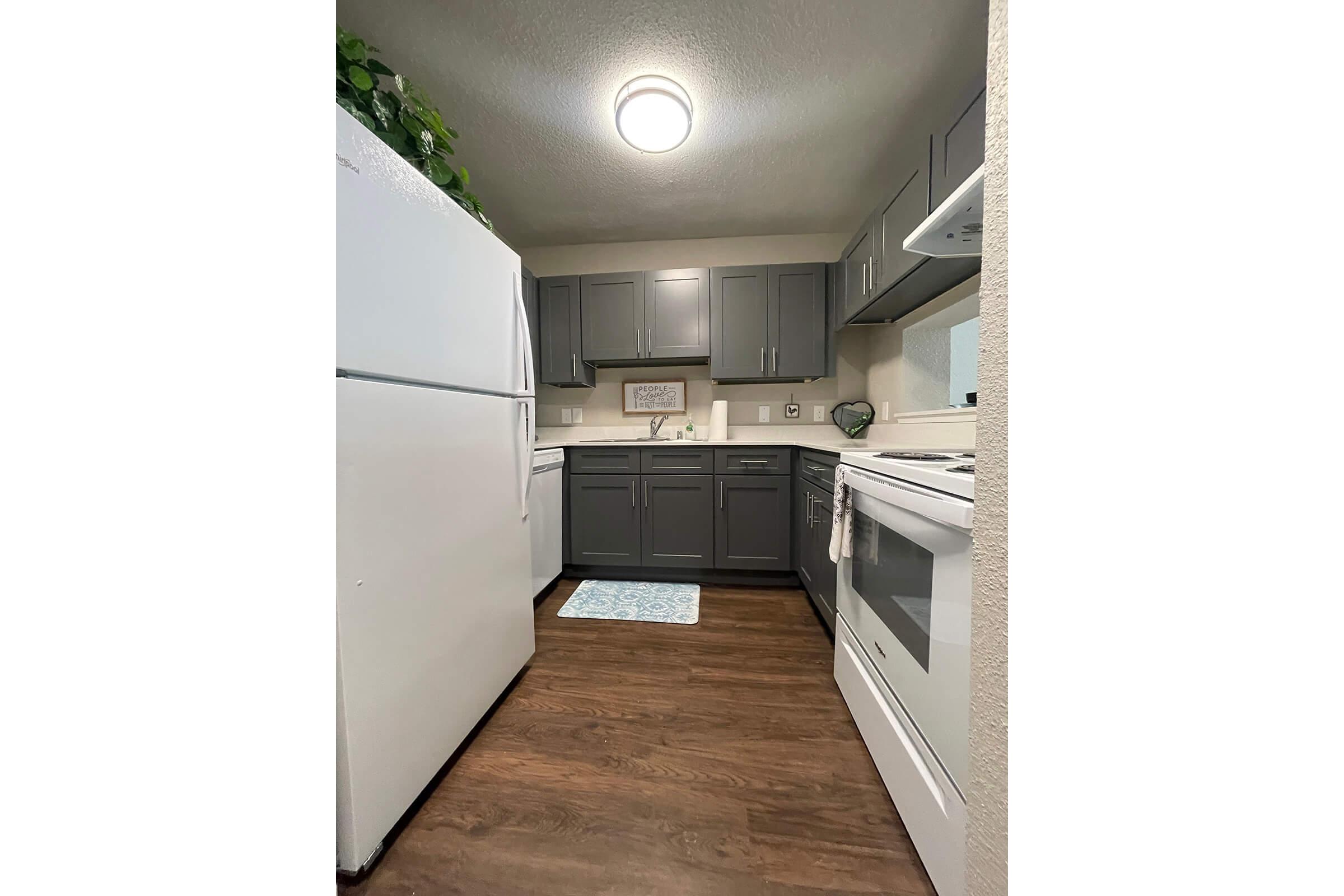 a kitchen with a stove and a refrigerator