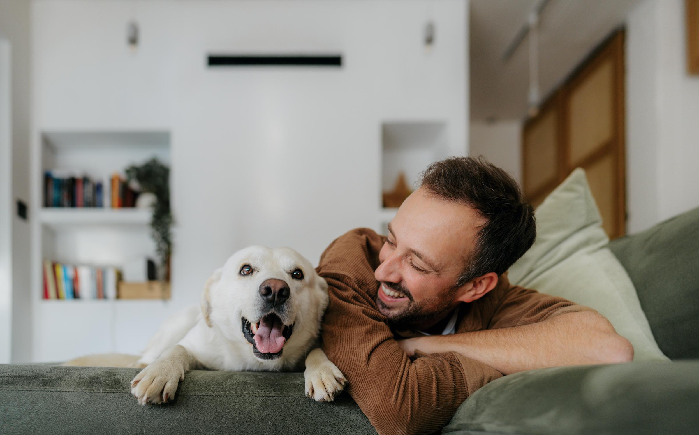 A smiling man lies on a green couch, playfully interacting with a happy white dog. The background features a cozy living room with bookshelves and modern decor, creating a warm and inviting atmosphere.