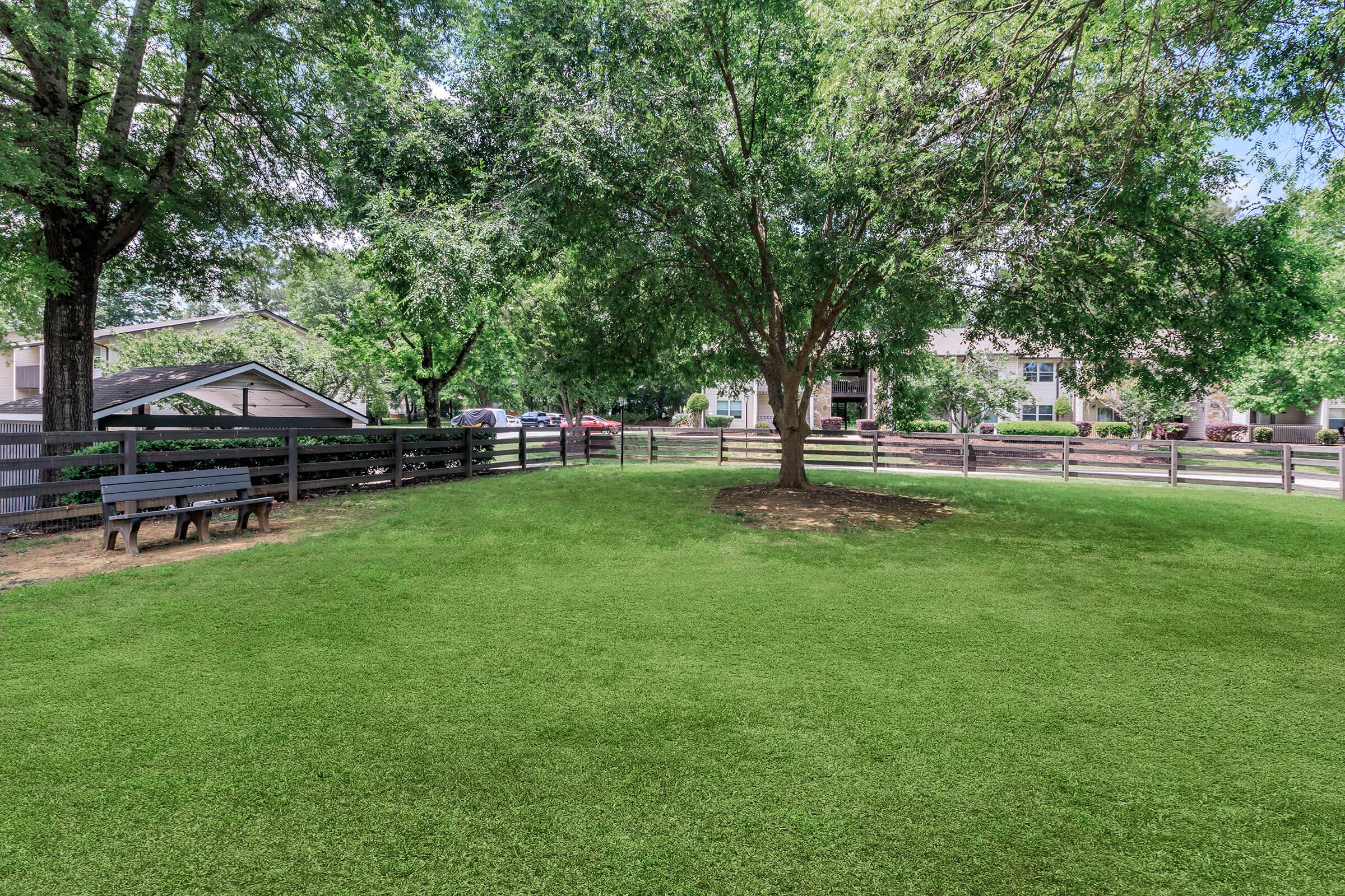 A grassy area with a large tree in the center, surrounded by a wooden fence. There are benches on one side, and in the background, buildings and parked cars are visible. The scene is bright and green, indicating a sunny day.