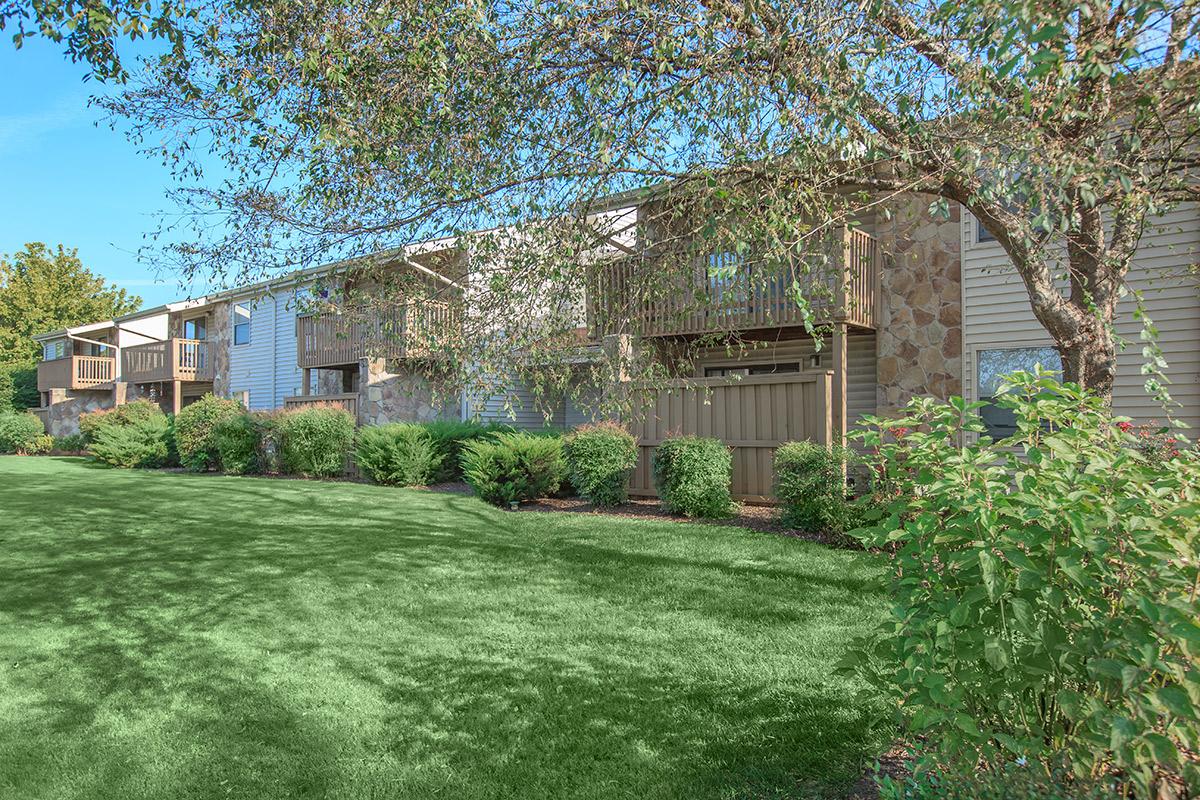 Large Grassy Area with bushes at Laurel Ridge Apartments