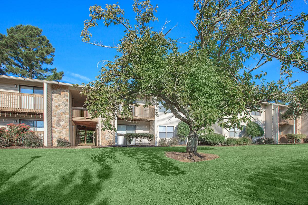 Large tree with shade at Laurel Ridge Apartments in Chattanooga, TN Home