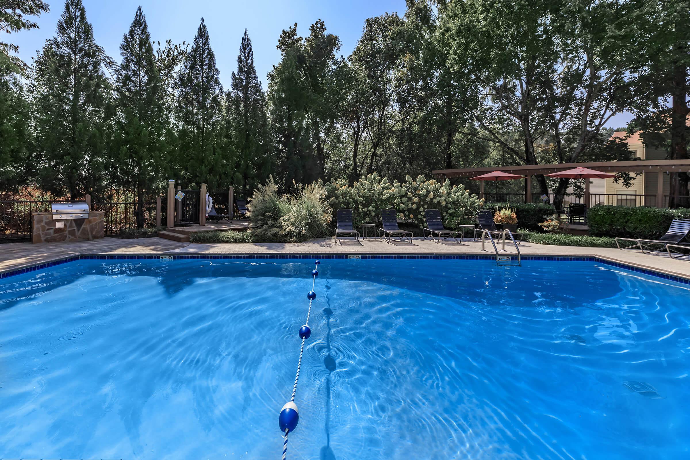 The buoys separate the shallow side from the deep end of the swimming pool