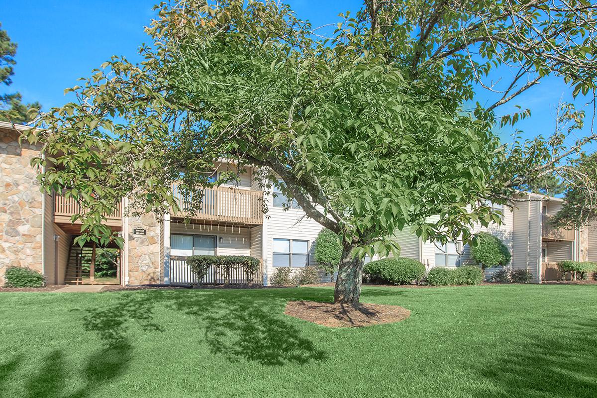 Mature Trees for Shade at Laurel Ridge Apartments in Chattanooga, Tennessee