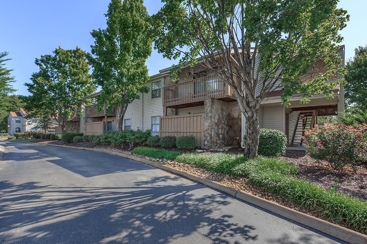 Tree Lined Street at Laurel Ridge Apartments in Chattanooga