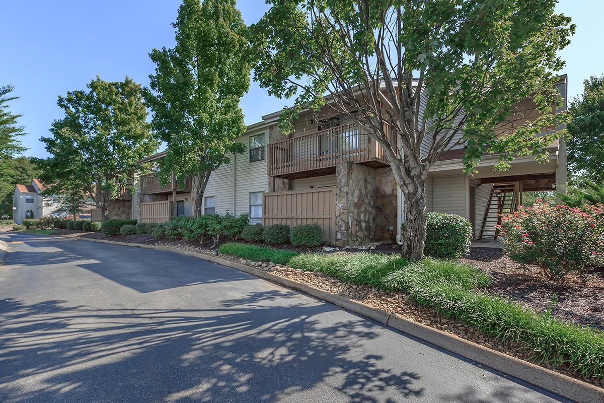 A Tree Lined Street Welcomes You Home to Laurel Ridge Apartments