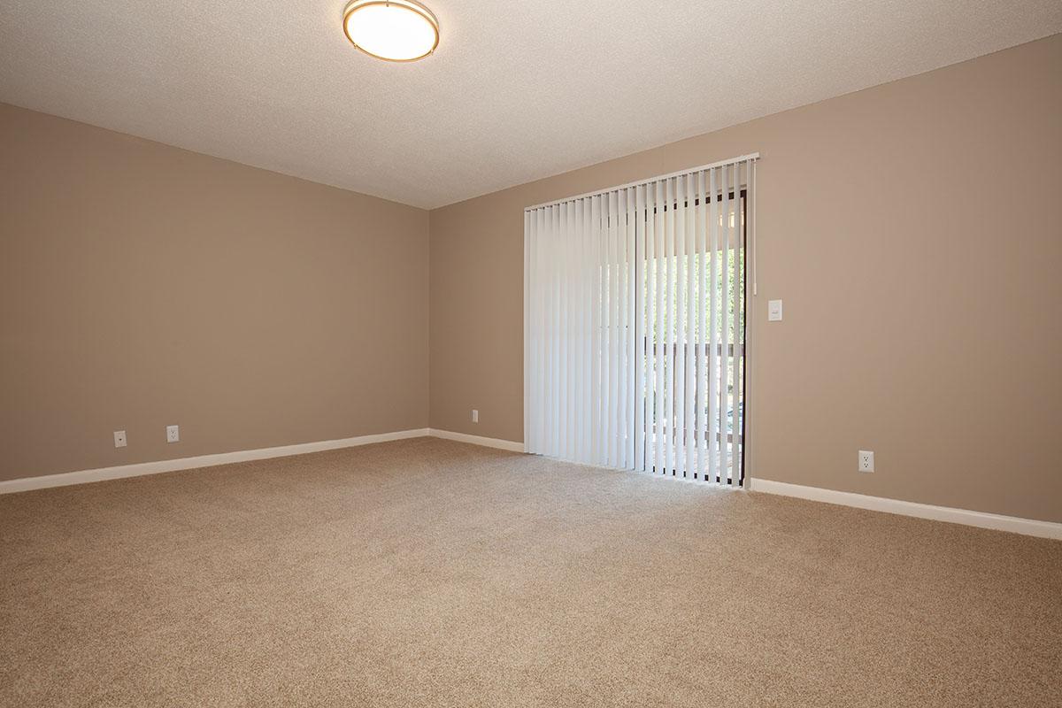 Vertical Blinds Here at The Bradford Deluxe at Laurel Ridge Apartments in Chattanooga, Tennessee