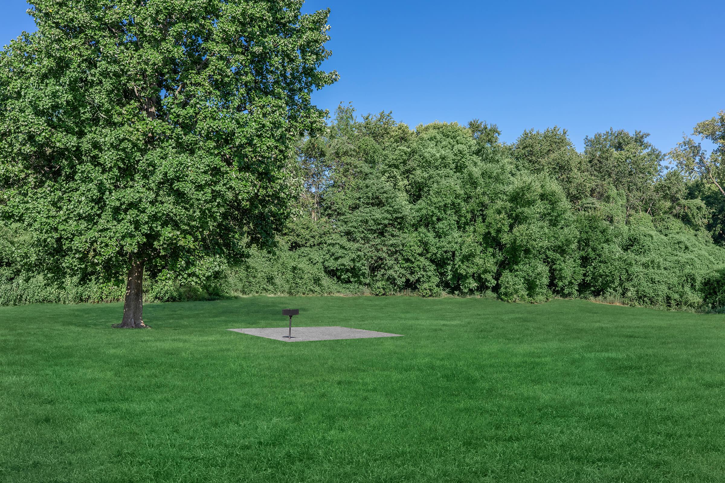 a tree in the middle of a lush green field