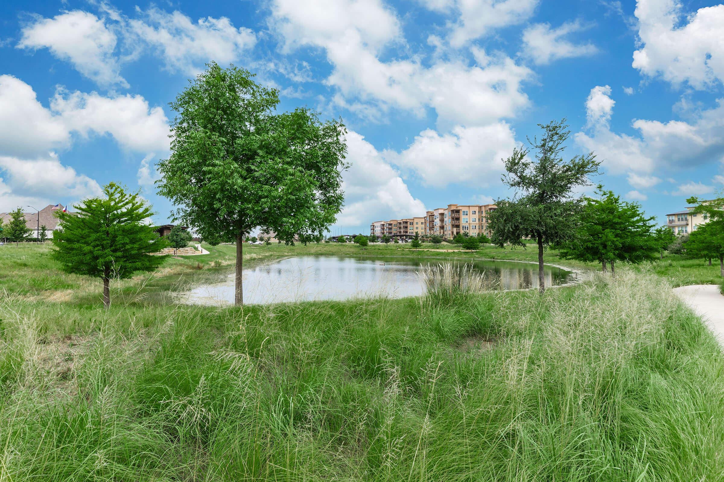 a large green field with trees in the background