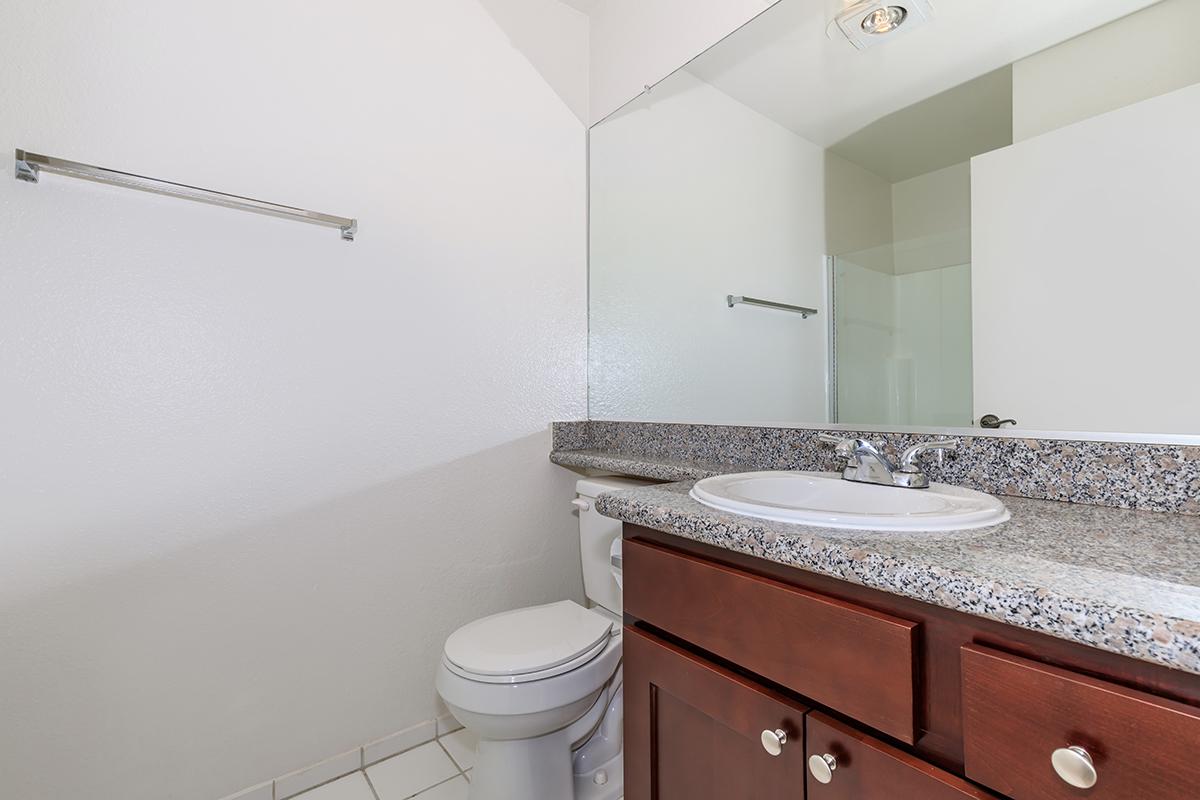 a sink and a mirror