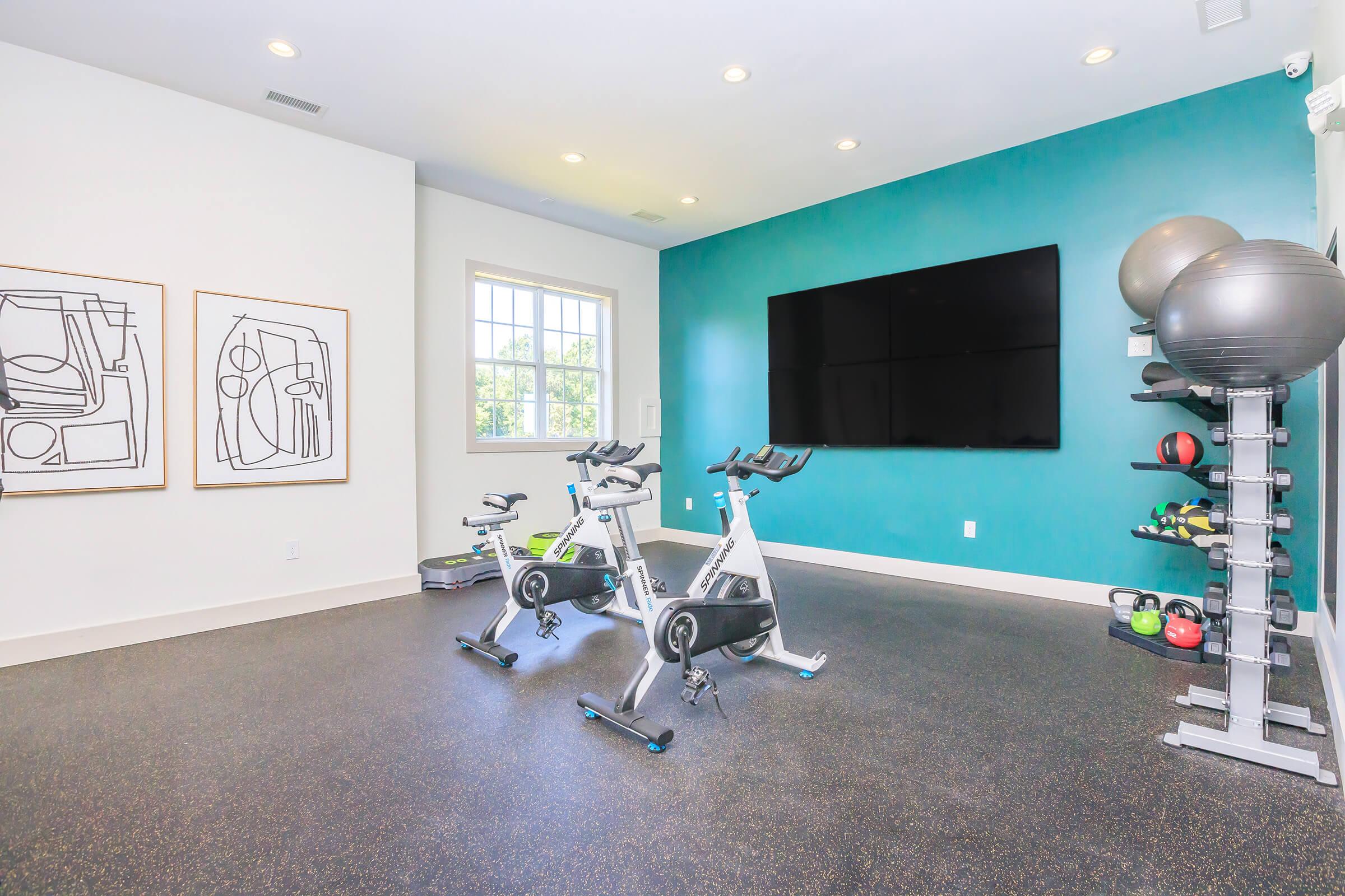 A modern fitness room featuring two stationary bikes, exercise balls, and weights. The walls are painted in a vibrant teal, with large windows allowing natural light. Abstract artwork hangs on the wall, and a flat-screen TV is mounted for workout guidance. The floor is covered in dark rubber material.