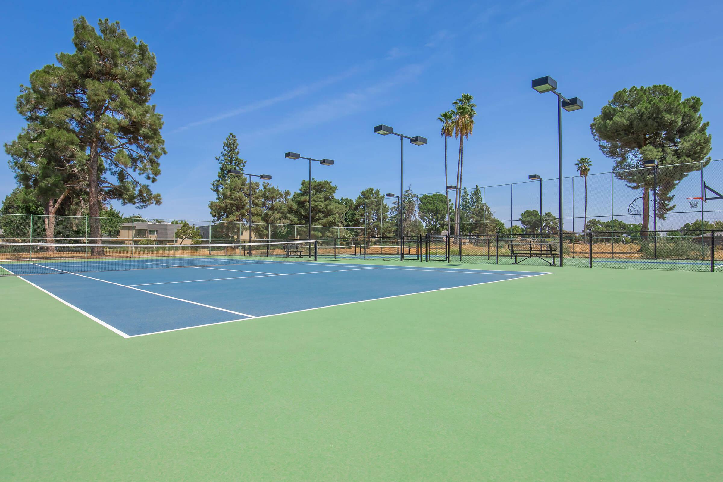 A tennis court featuring a blue playing surface with white lines on a green background. Tall trees surround the court, and there are several light poles for nighttime play. Clear blue sky above with no clouds. The atmosphere is bright and inviting for outdoor sports.