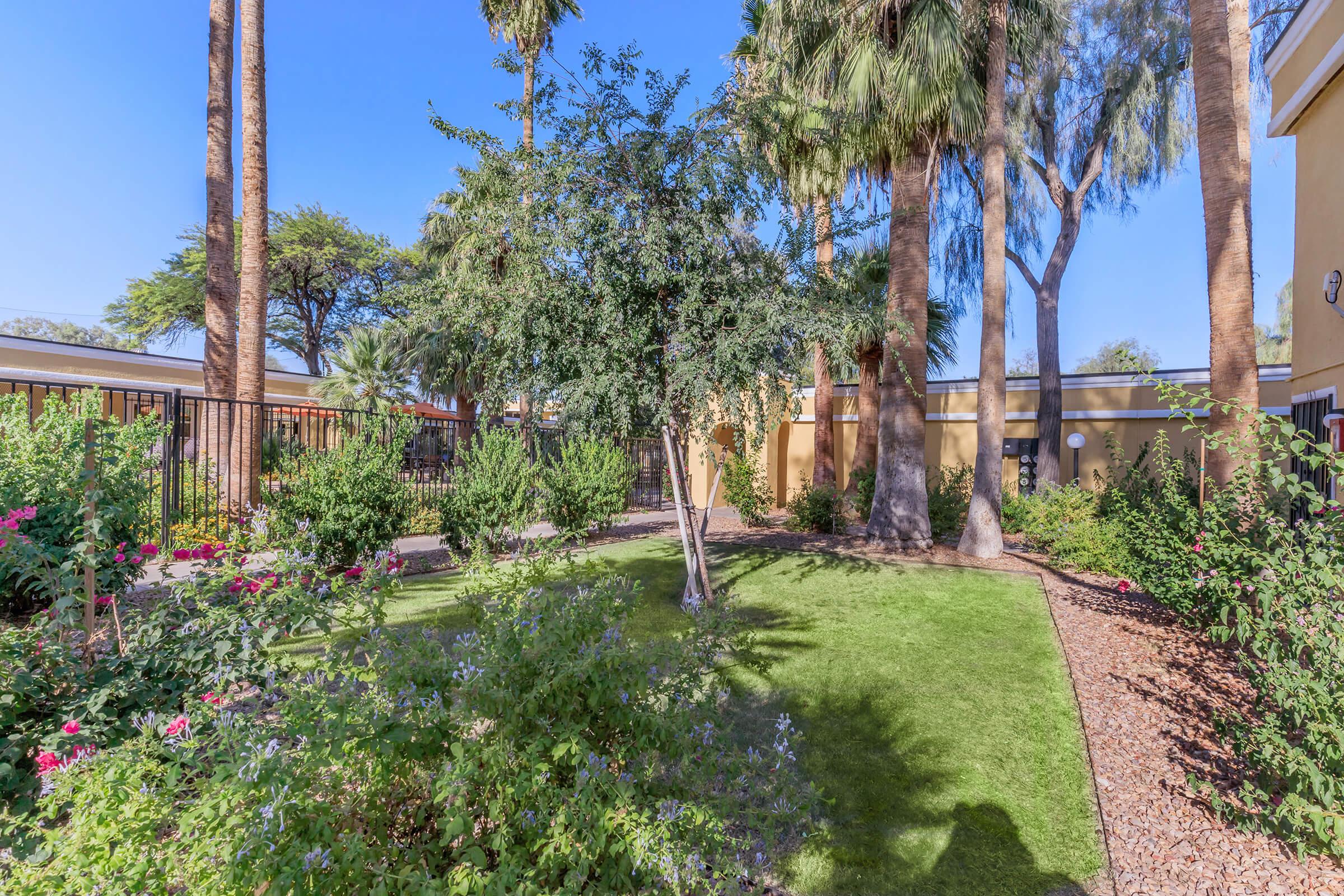 Lush garden scene featuring green grass, flowering plants, and palm trees. A fence surrounds the area, with sunlight streaming down in a clear blue sky. The landscape is well-maintained, creating a serene outdoor environment.