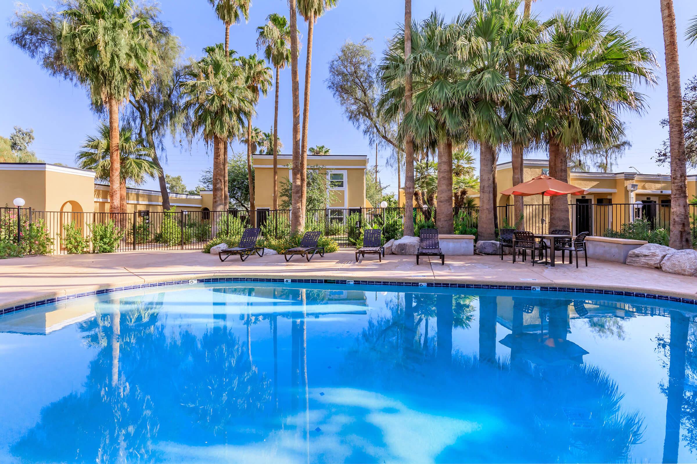 A serene swimming pool surrounded by lush palm trees and a relaxing atmosphere. Lounge chairs are arranged around the pool, and there's a shaded seating area with an umbrella nearby, providing a perfect spot for relaxation in a sunny, tranquil environment.