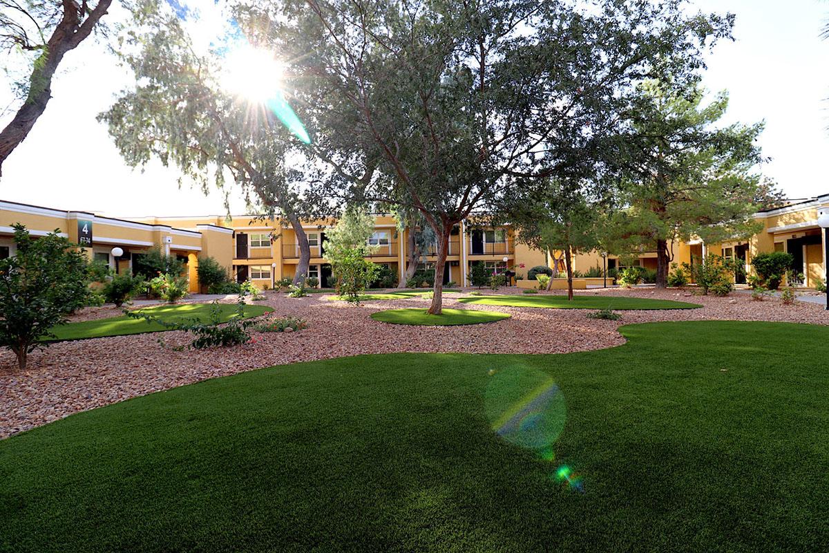A landscaped courtyard featuring green grass, trees, and flower beds, with a sunbeaming through the branches, highlighting the serene and inviting atmosphere of the area surrounded by buildings.