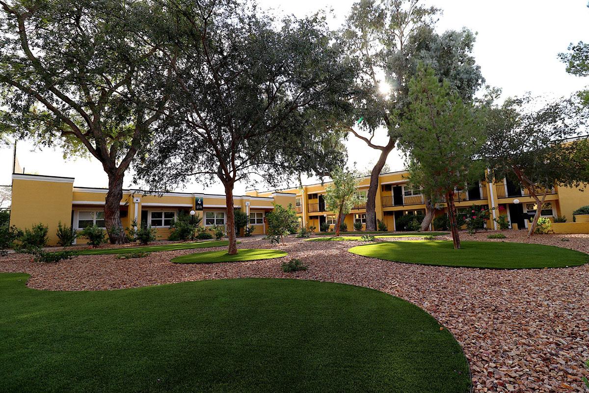 A landscaped courtyard featuring lush green grass and gravel paths, surrounded by trees and shrubs. The buildings are yellow with large windows, creating a serene atmosphere. Sunlight filters through the trees, adding warmth to the scene.
