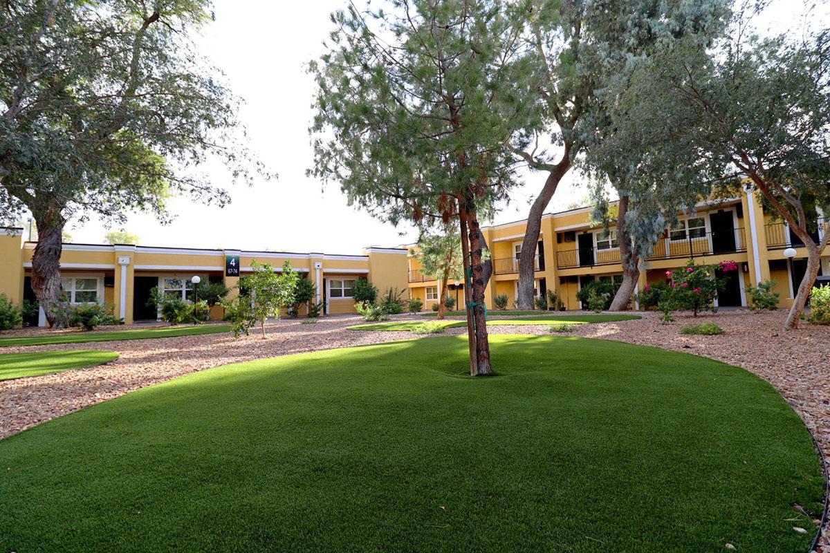 View of a landscaped courtyard featuring artificial turf and gravel. Surrounding the lawn are several trees and shrubs, with a yellow building in the background that has multiple windows. The scene is bright and inviting, suggesting a well-maintained outdoor space for relaxation or recreation.