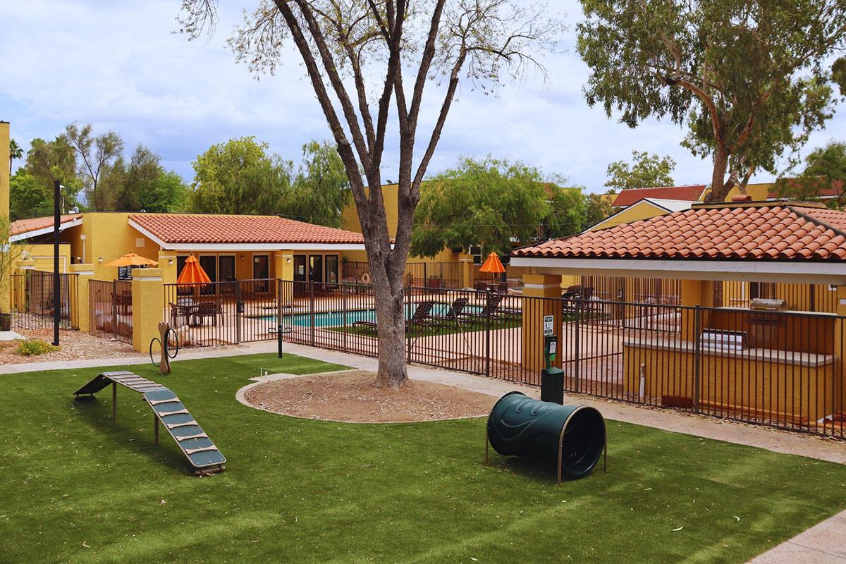 A view of a landscaped outdoor area featuring a swimming pool surrounded by lounge chairs and orange umbrellas. Nearby, there is a grassy space with a playful dog agility structure, including a tunnel and ramp, set against yellow buildings and trees.