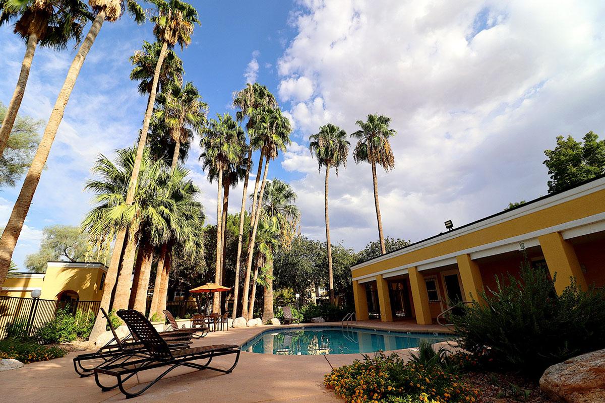 A serene pool area surrounded by tall palm trees under a partly cloudy sky. Lounge chairs are positioned near the water, with vibrant flowers adding color to the landscape. The scene evokes a relaxing outdoor atmosphere, perfect for enjoying a sunny day.