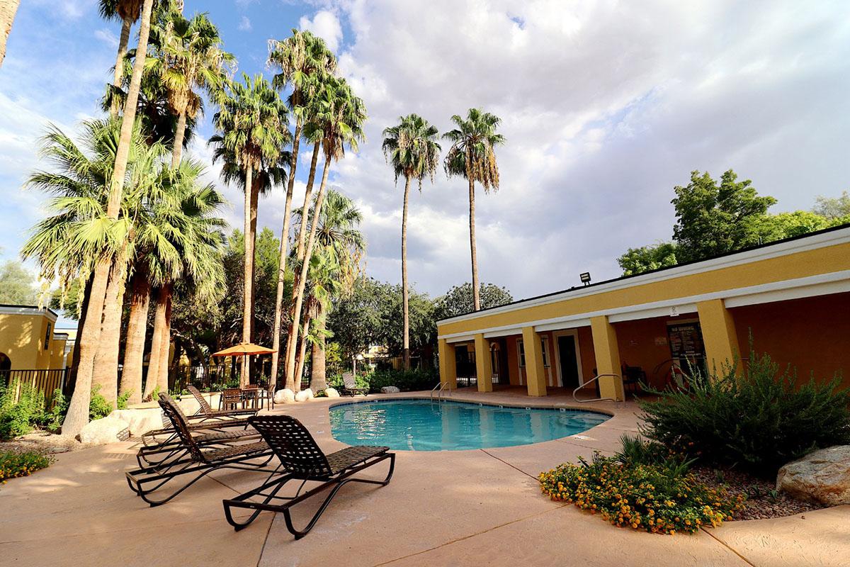 A sunny pool area surrounded by tall palm trees, featuring lounge chairs, a shaded umbrella, and a well-maintained garden with colorful flowers. The pool has a gentle curve and is inviting, with a clear blue sky and scattered clouds in the background.
