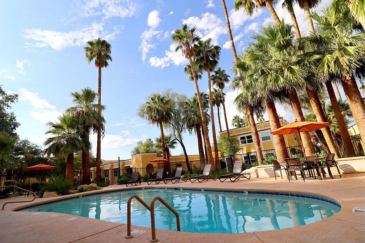 A serene pool area surrounded by palm trees and lounge chairs under a blue sky. Orange umbrellas provide shade, creating a relaxing atmosphere perfect for sunbathing and enjoying outdoor leisure. The pool's clear water reflects the vibrant greenery and bright sky overhead.