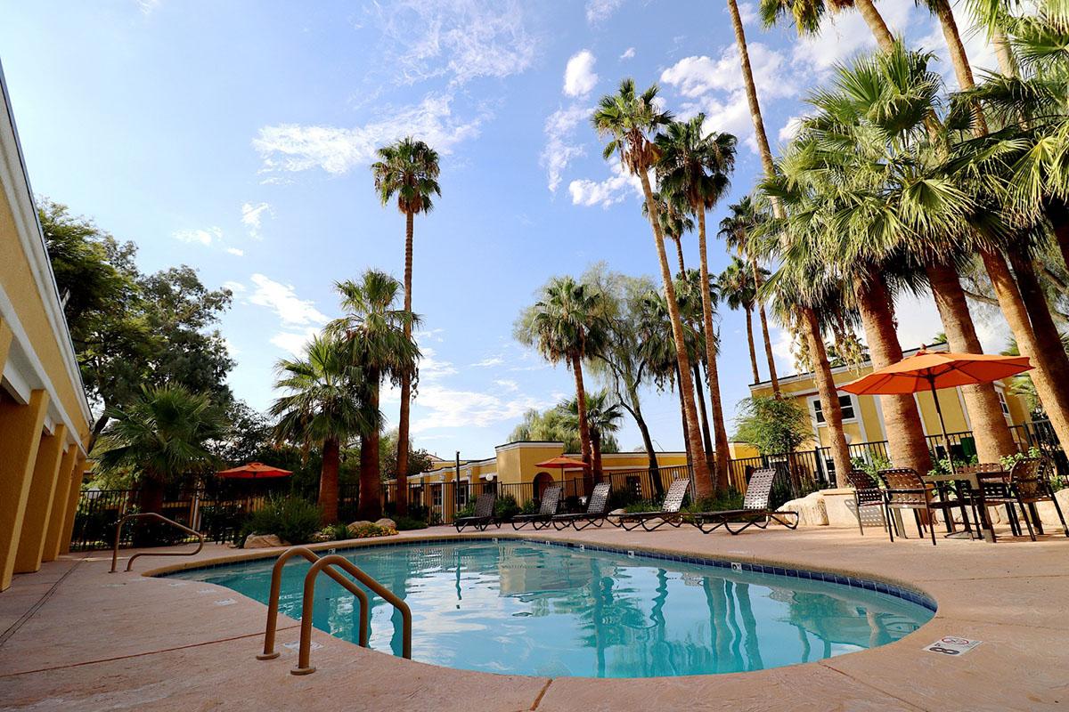 A serene outdoor pool area surrounded by tall palm trees and lush greenery. The pool features a gently sloping entrance and is framed by comfortable lounge chairs and vibrant orange umbrellas. Bright blue sky with scattered clouds completes the relaxing atmosphere.
