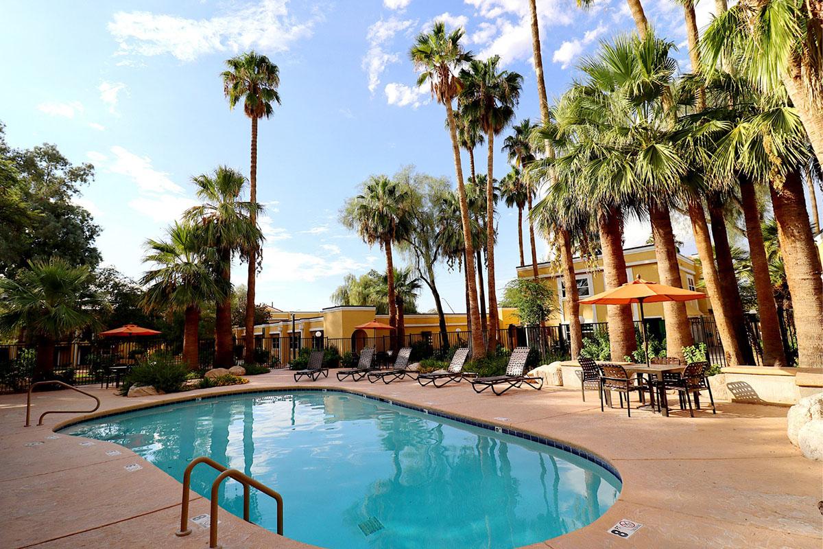 A sunny pool area surrounded by palm trees, featuring lounge chairs and orange umbrellas. The crystal-clear water of the pool reflects the blue sky, creating a relaxing atmosphere. Lush greenery enhances the tropical vibe of the scene.