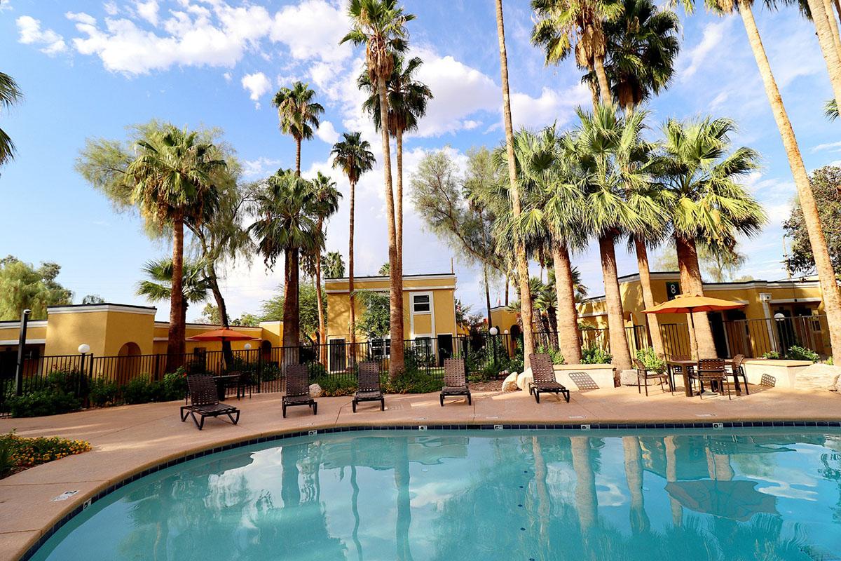 A serene pool area surrounded by tall palm trees and lush greenery. Lounge chairs are arranged around the pool, with yellow buildings in the background. The sky features scattered clouds, creating a bright and inviting atmosphere for relaxation.