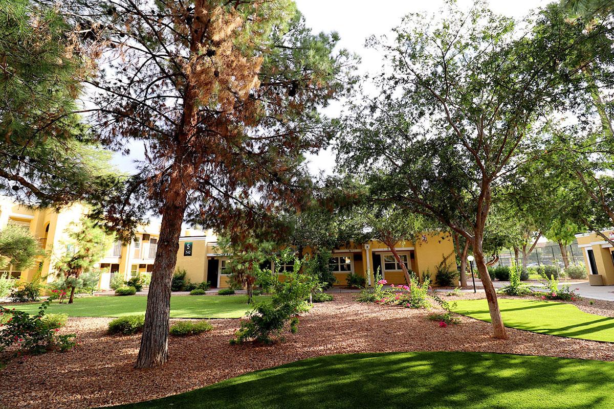 A serene landscape featuring lush green grass and well-maintained gardens surrounded by trees. In the background, there are yellow buildings, and the scene is illuminated by soft natural light, creating a peaceful and inviting atmosphere.