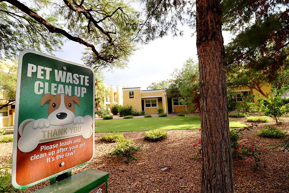 Sign promoting pet waste cleanup with a cartoon dog graphic. The sign thanks pet owners for their cooperation and reminds them to leash their pets and clean up after them, emphasizing that it's the law. In the background, a landscaped area with trees and shrubs is visible, along with a building.