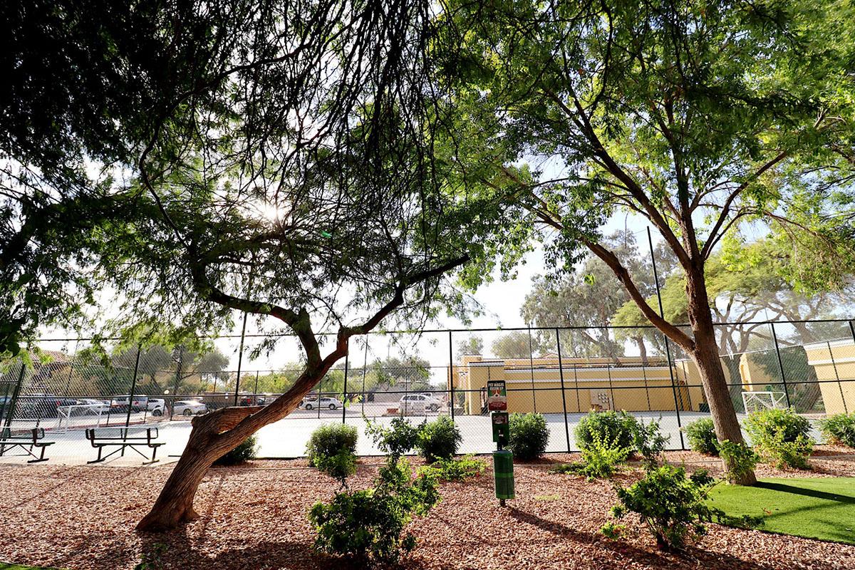 A serene park scene featuring a tennis court surrounded by lush trees and greenery. Sunlight filters through the branches, casting gentle shadows on the ground. Benches are visible in the foreground, with bushes and soft landscaping enhancing the tranquil atmosphere.