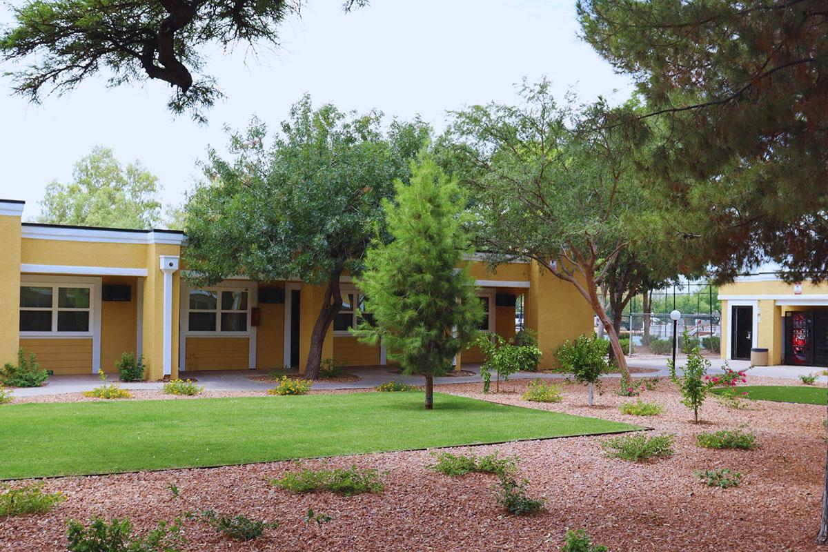 A vibrant school building with yellow walls, surrounded by well-maintained green lawns and trees. The landscape features landscaped gardens with shrubs and pathways. The setting is bright and inviting, suggesting a welcoming environment for students and staff.