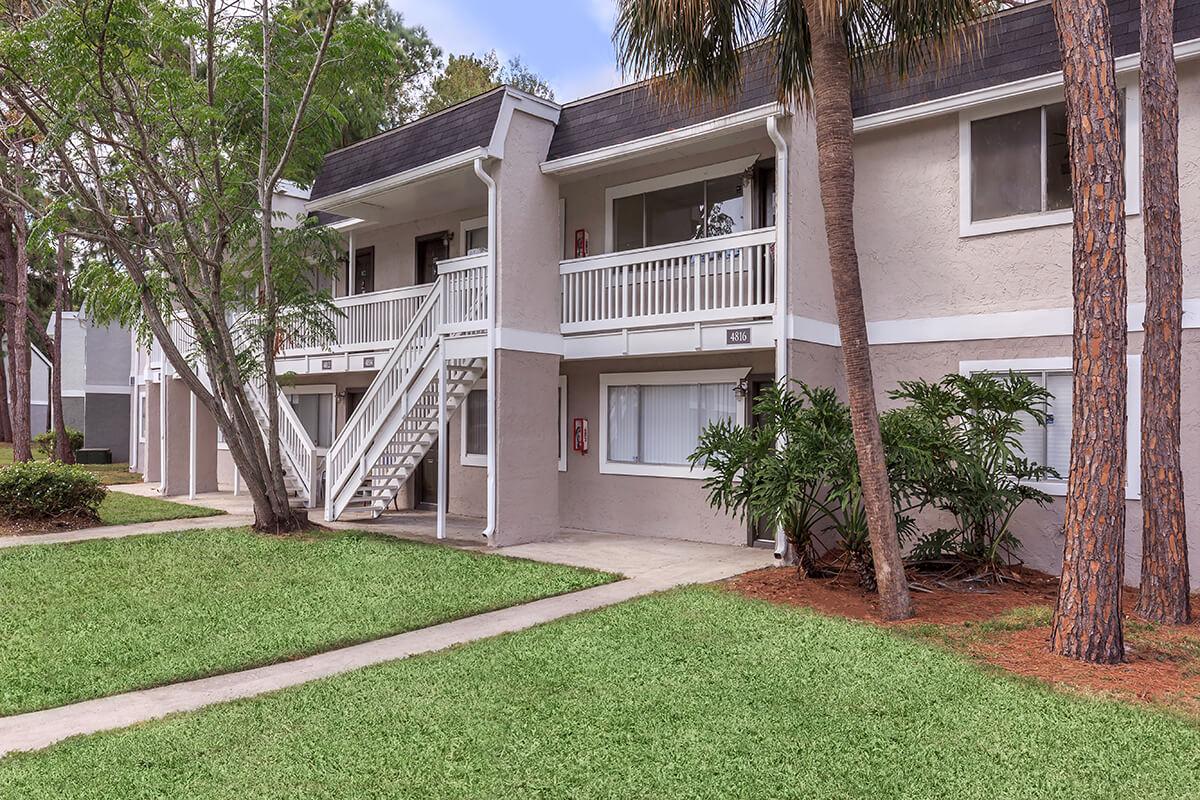 River Pointe Apartment Homes Pet Friendly Apartments In Tampa