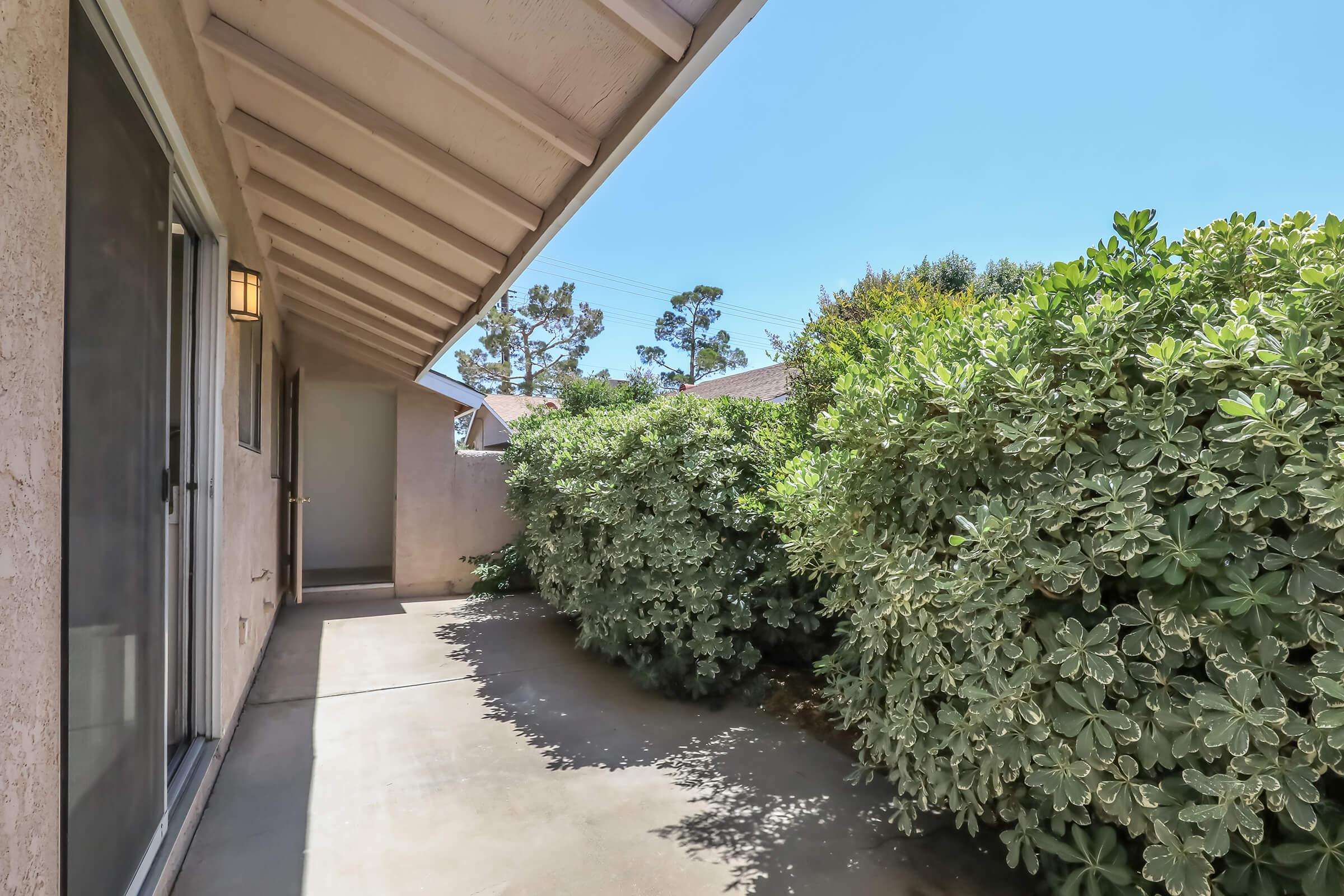 A narrow outdoor walkway beside a house, bordered by lush green shrubs and plants, under a clear blue sky. The walkway features a concrete surface and a covered overhang, with a door visible on one side.