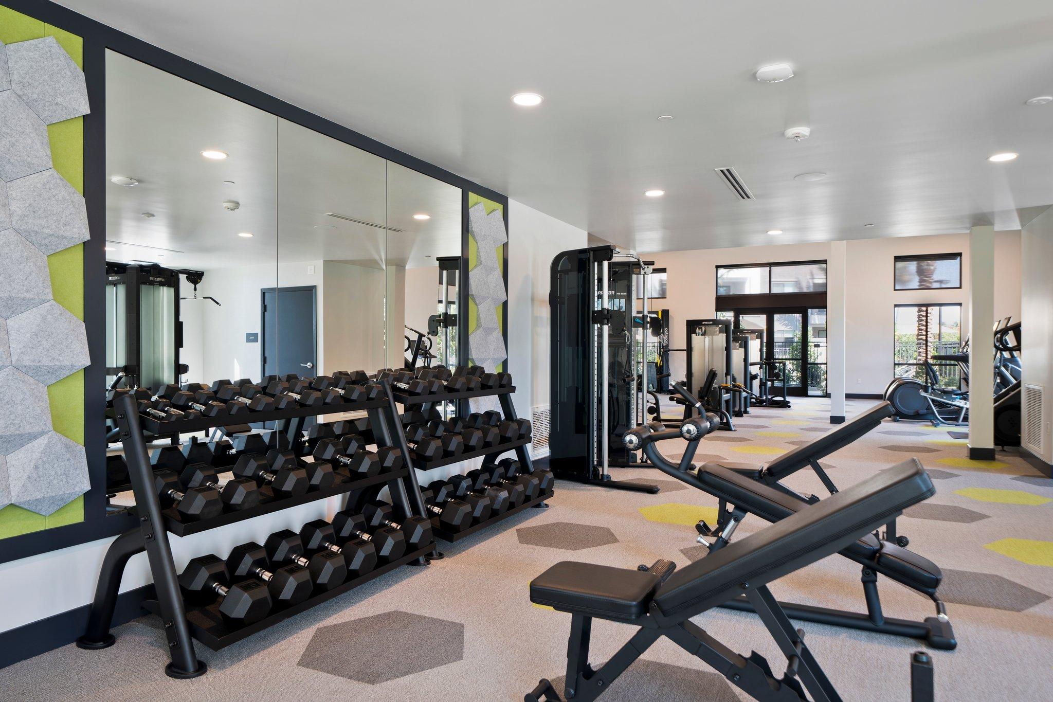 A modern gym interior featuring weight benches, a rack of dumbbells, and various exercise equipment. The space has large mirrors, bright lighting, and colorful flooring with green accents, creating a clean and inviting workout environment.
