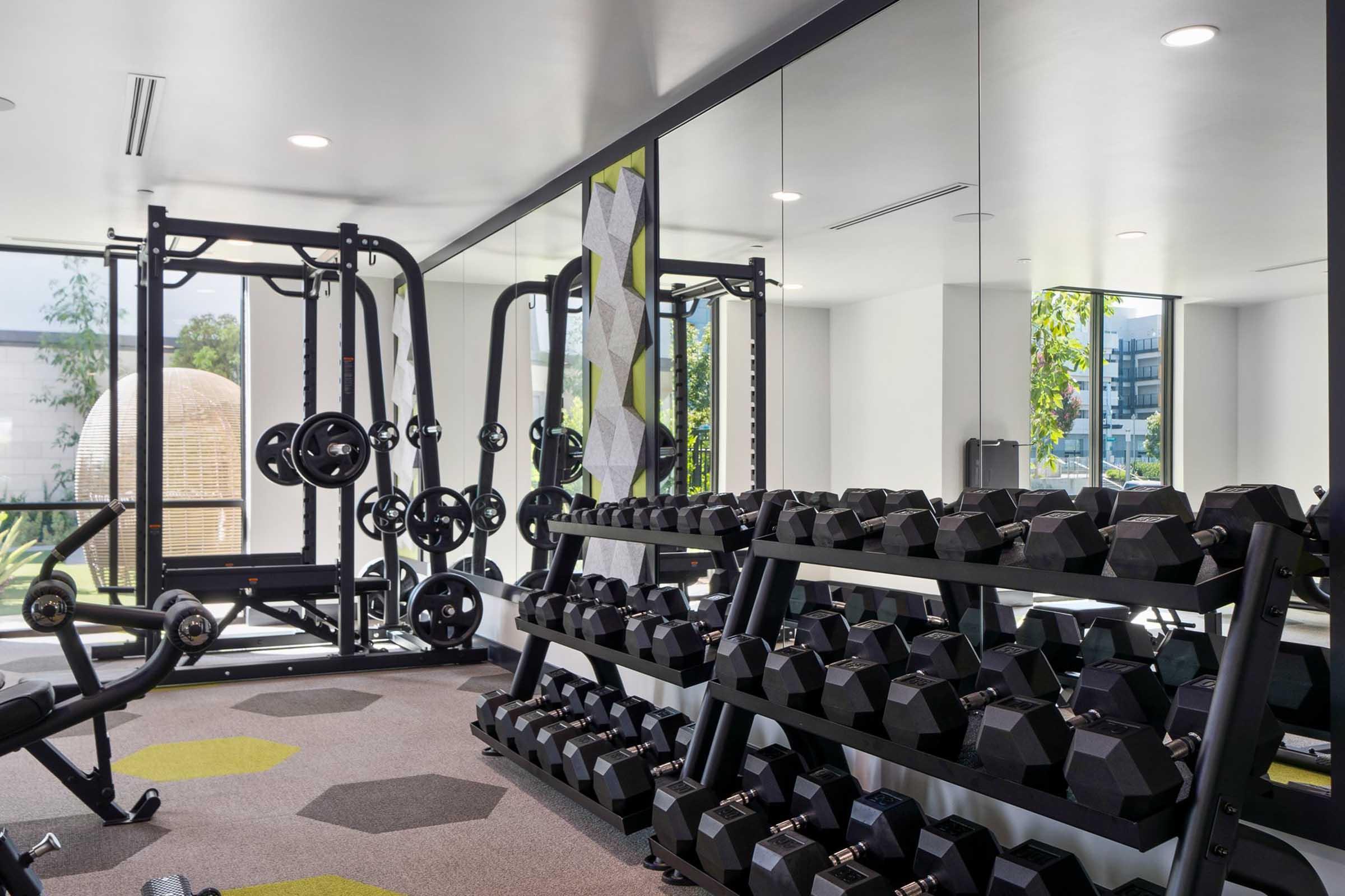 A modern gym interior featuring a range of weightlifting equipment. There are dumbbells organized on shelves, a weight rack, and mirrored walls, with natural light coming in from large windows. The flooring has a patterned design, and there are green plants visible in the background.