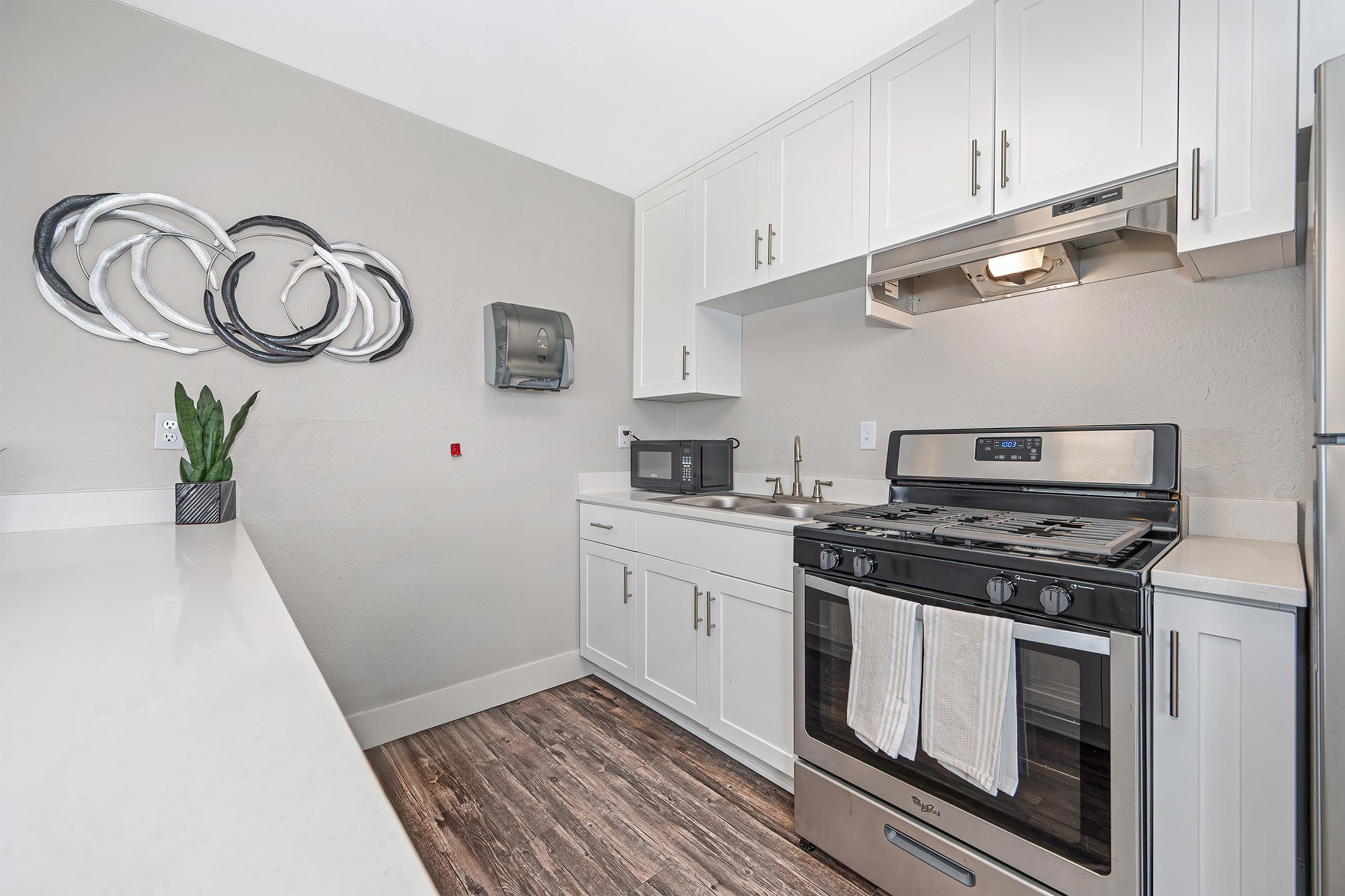 Modern kitchen featuring white cabinetry, stainless steel appliances, a gas stove with hood, and a microwave. A small sink is visible, along with a decorative wall art piece. The countertop is light-colored, and there is a potted plant in the corner, enhancing the contemporary design.